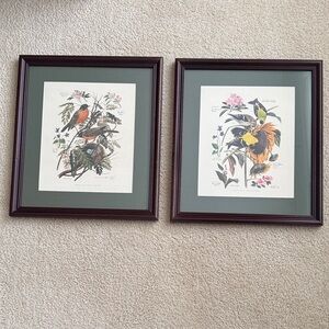 Arthur Singer Vintage Framed Botanical Bird Prints